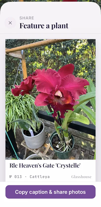 The Feature a plant sharing screen, showing a bloom card for Rlc Heaven's Gate 'Crystelle'.